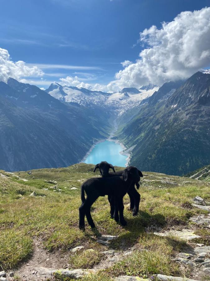 Ferienwohnung Schiestl Zell am Ziller Exteriör bild