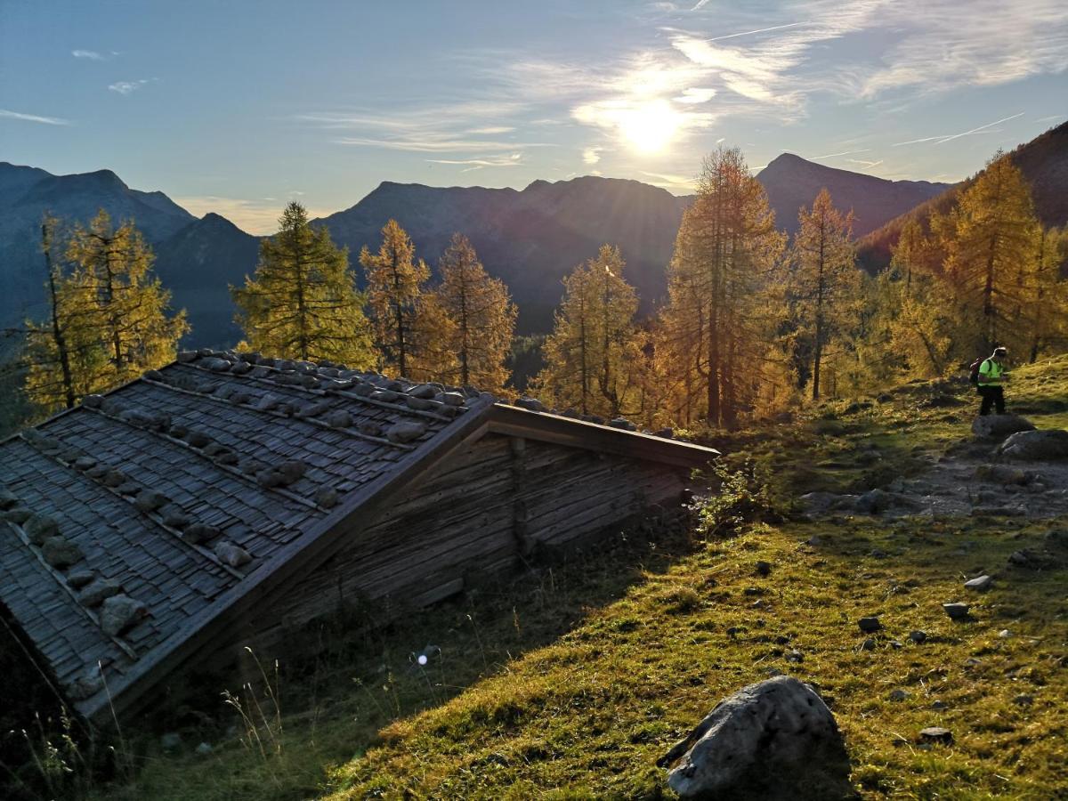 Ferienwohnung Schiestl Zell am Ziller Exteriör bild